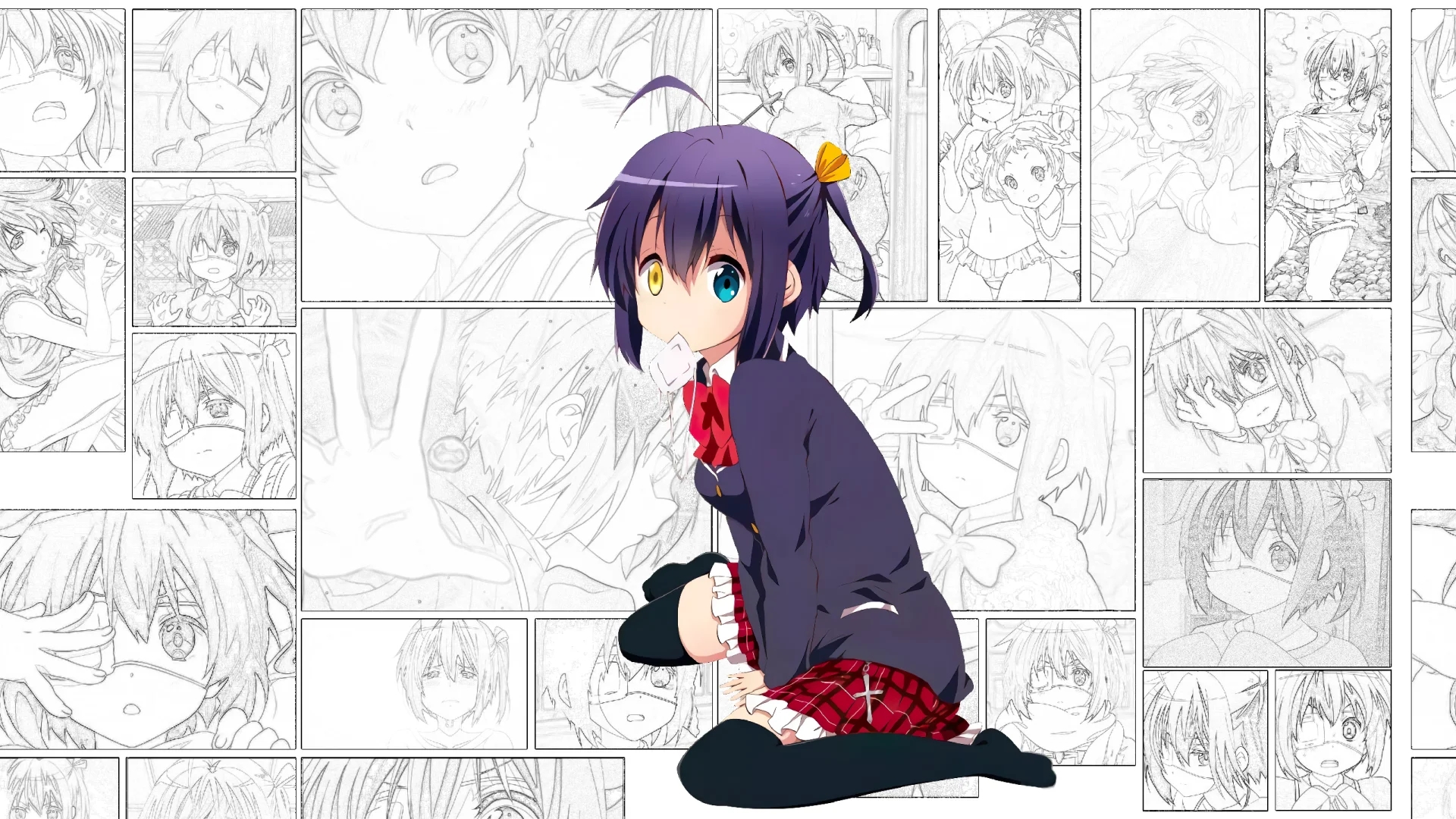 专注Zibll主题教程，分享自媒体行业前沿资讯