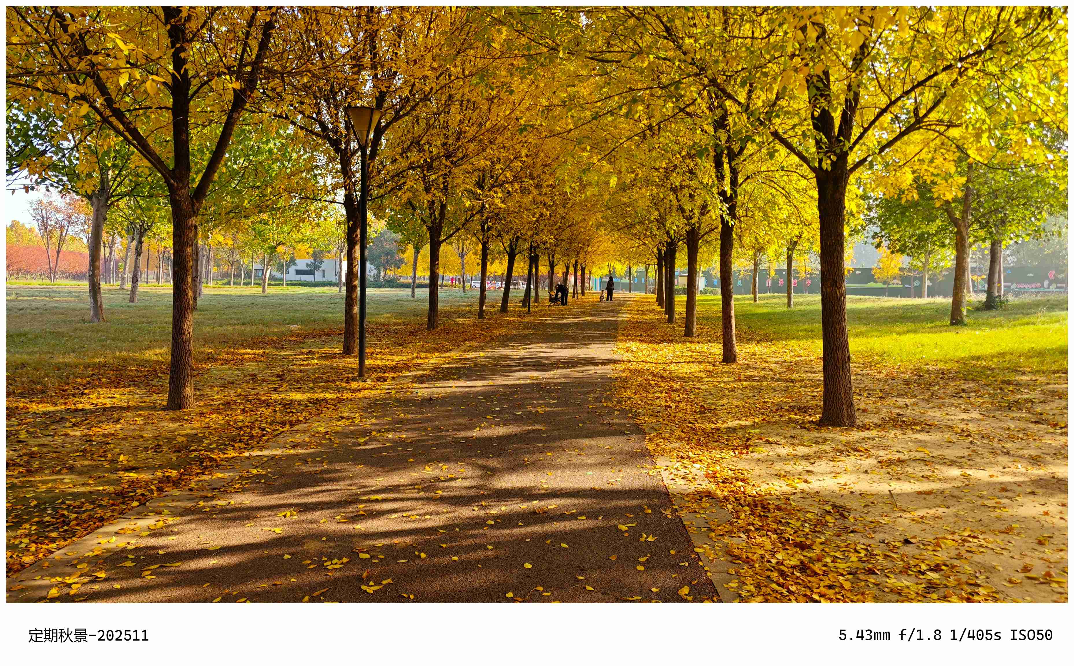 十一月半-秋色 (2).jpg