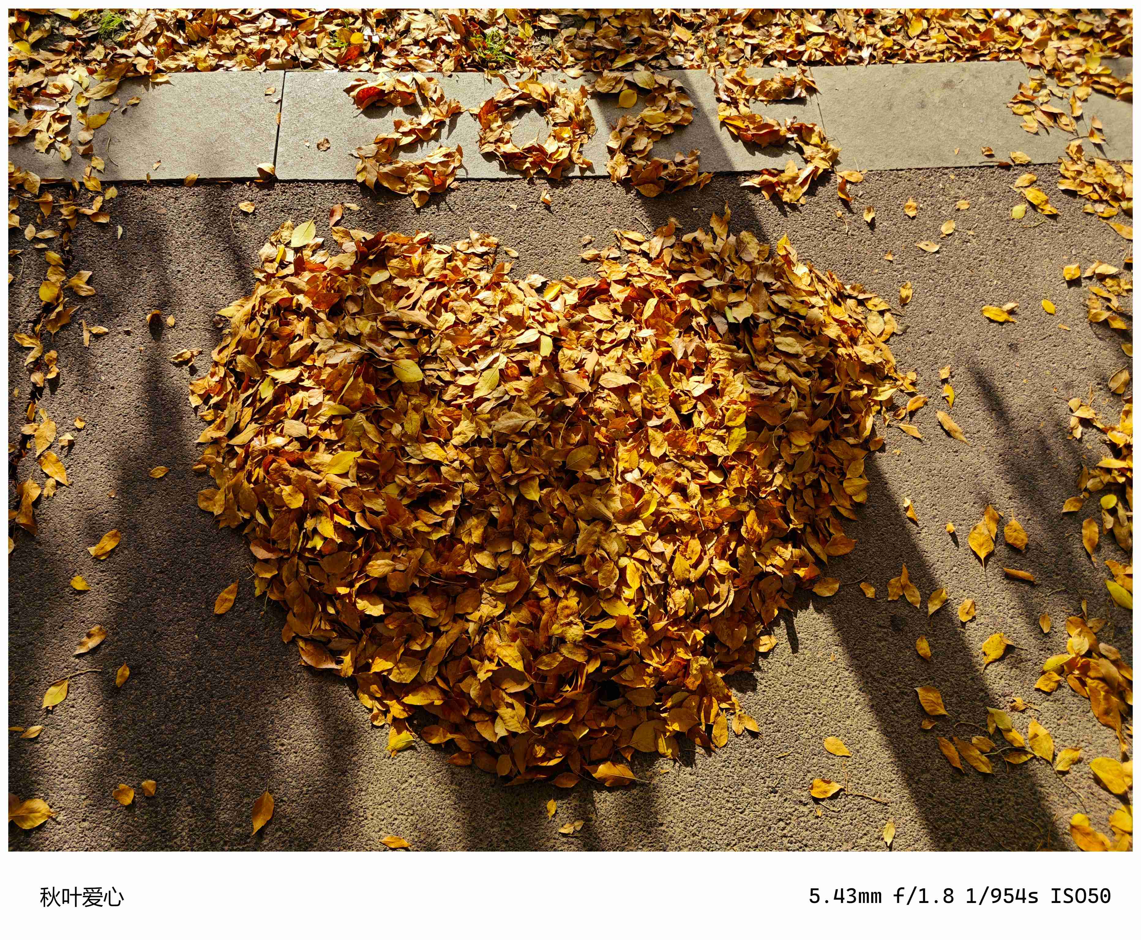 十一月半-秋色 (1).jpg