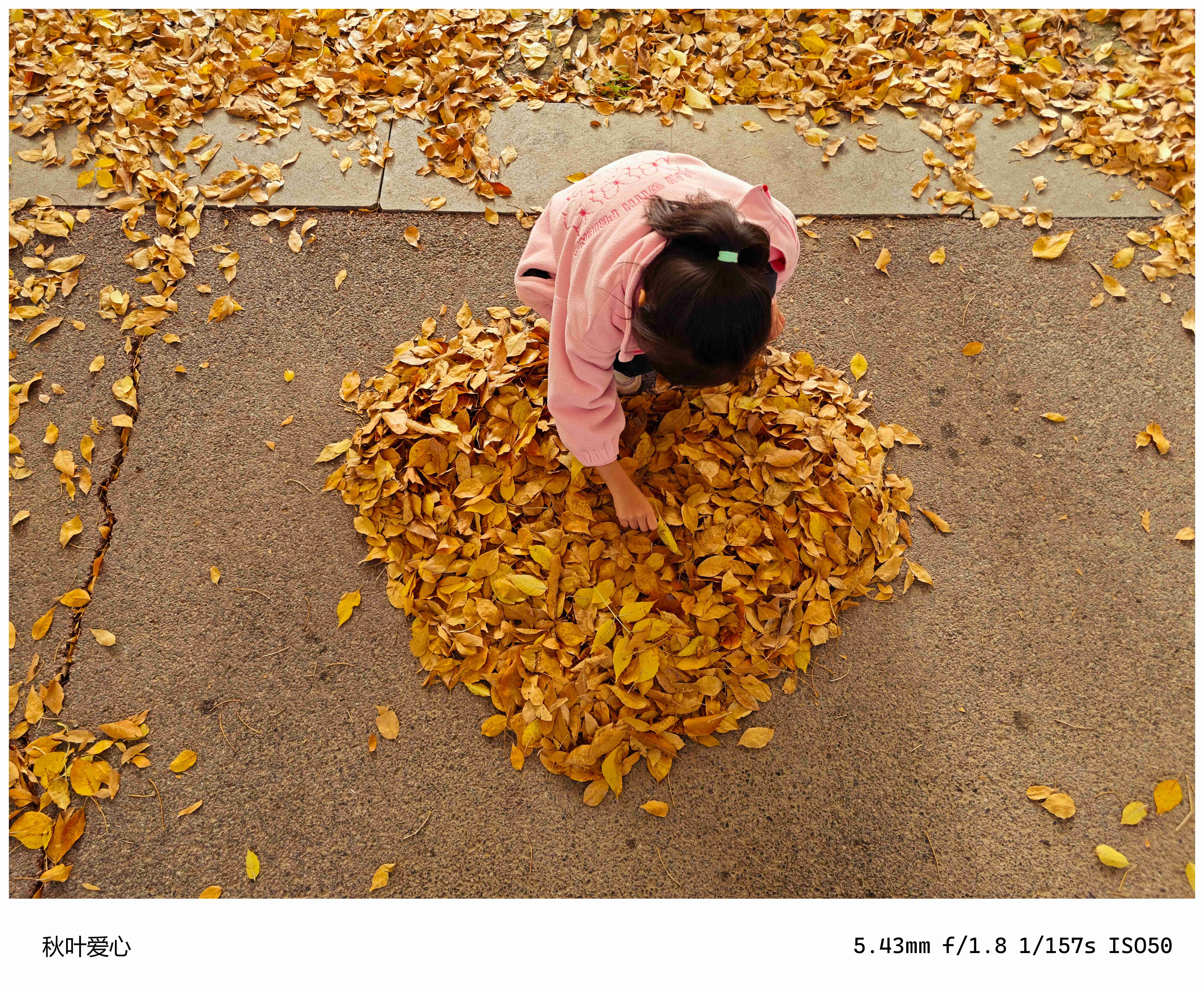 十一月半-秋色 (4).jpg