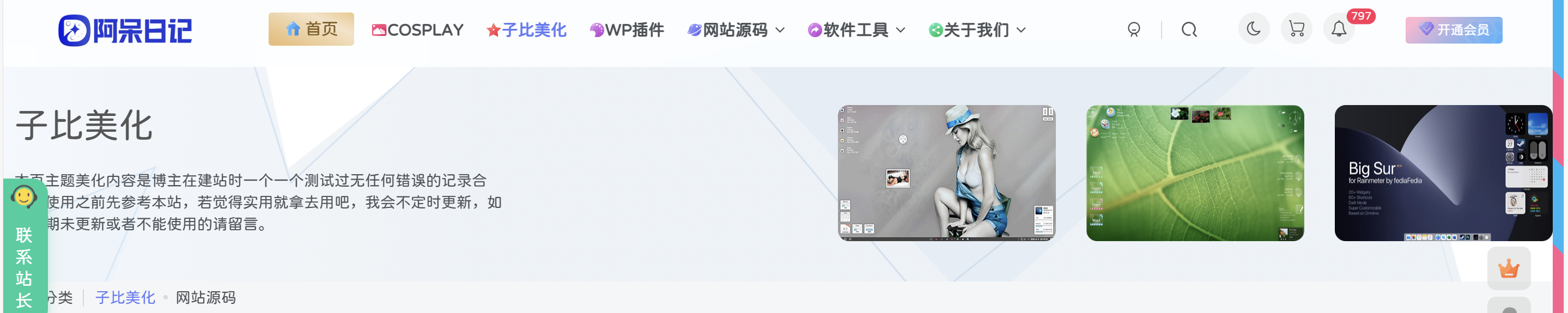 子比主题-仿致美化分类页面顶部信息模块 「不售卖」-阿呆日记