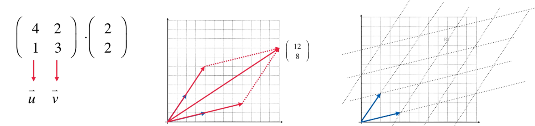 image-20251123124734581