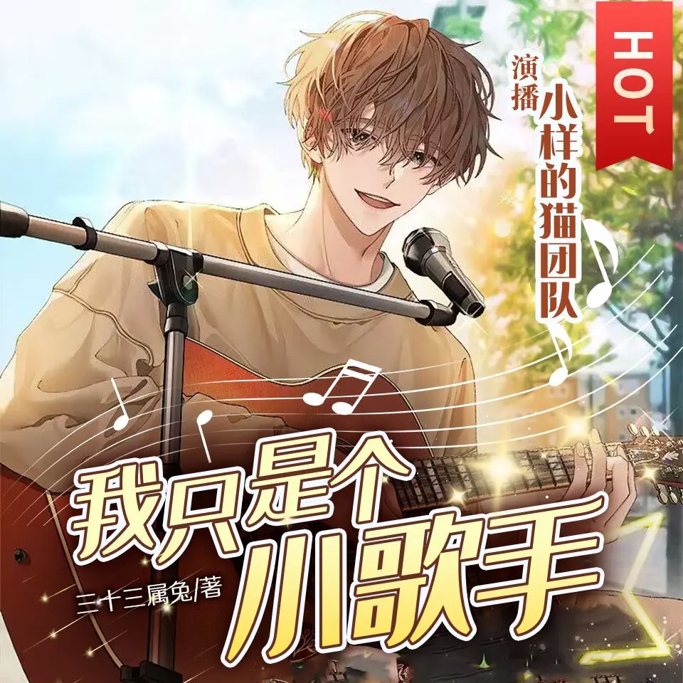 我只是个小歌手.jpg