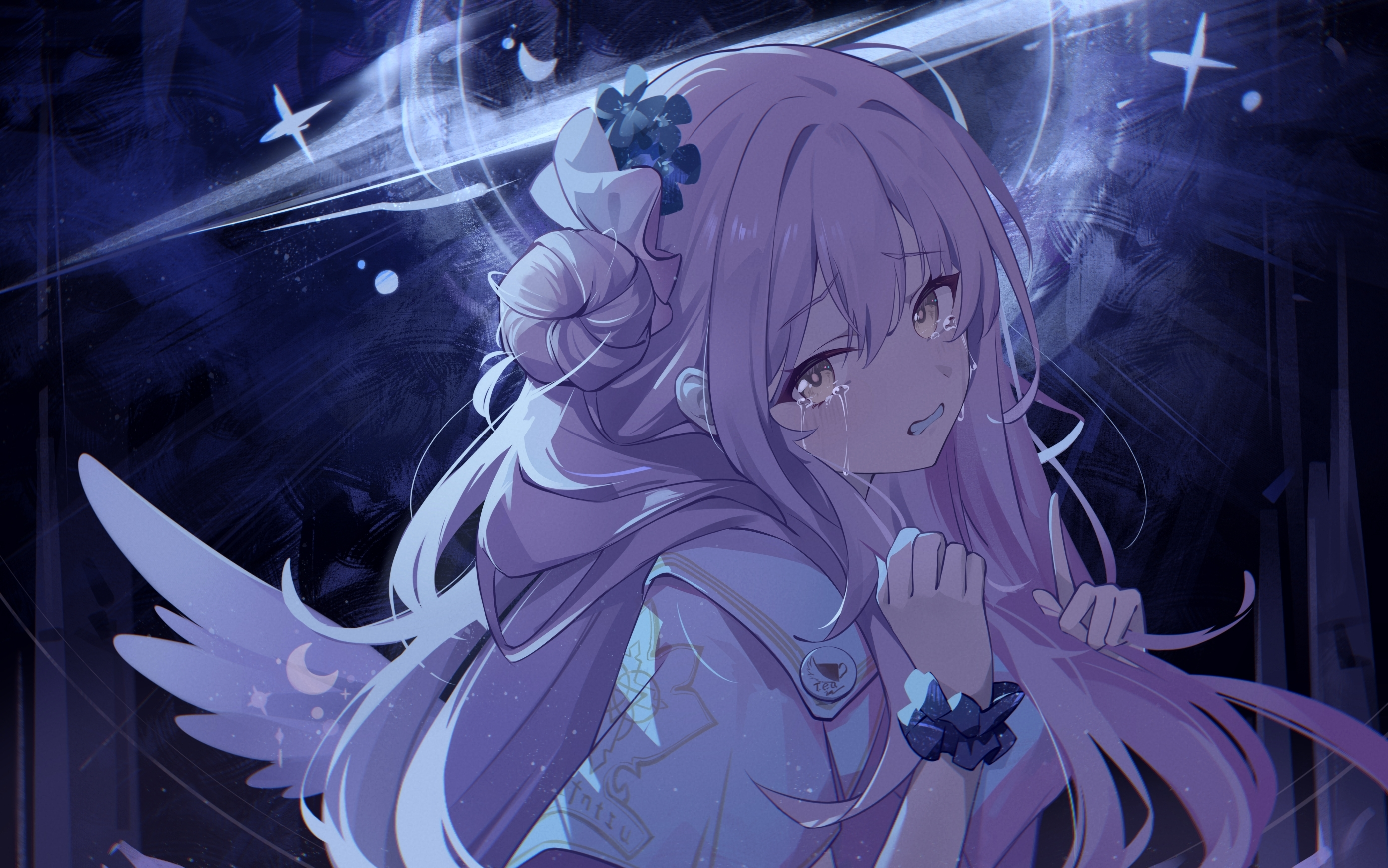 Desktop banner image 6