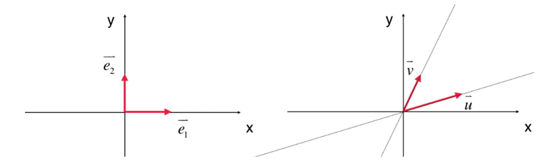 image-20251204101909391