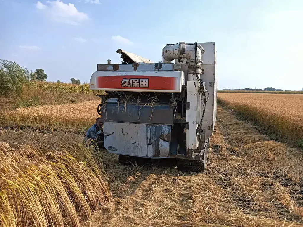 机器收割稻田
