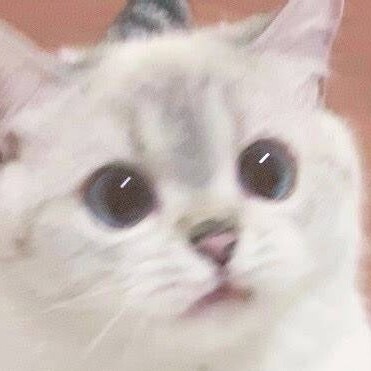 Profile Image of the Author