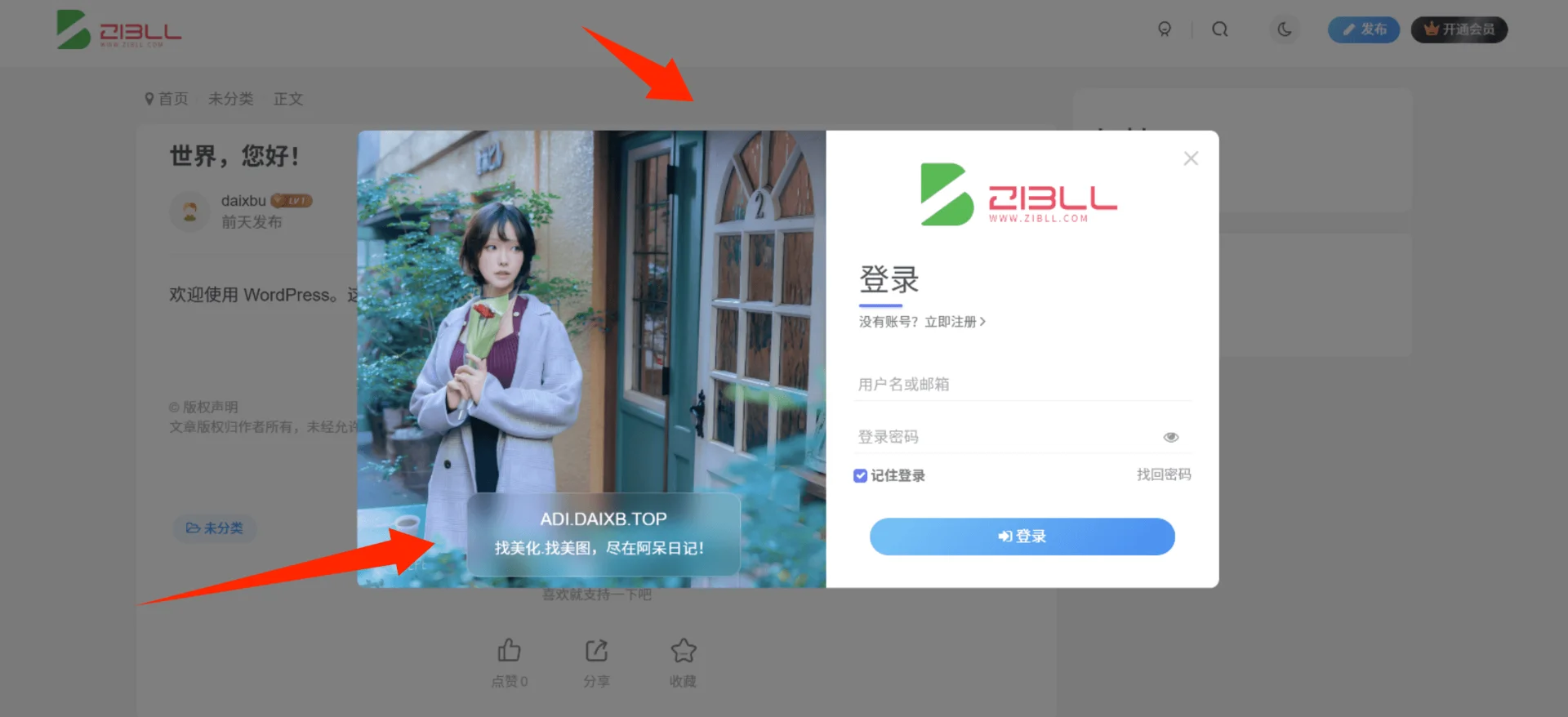 子比主题-仿7B2主题登录弹窗UI美化-阿呆日记
