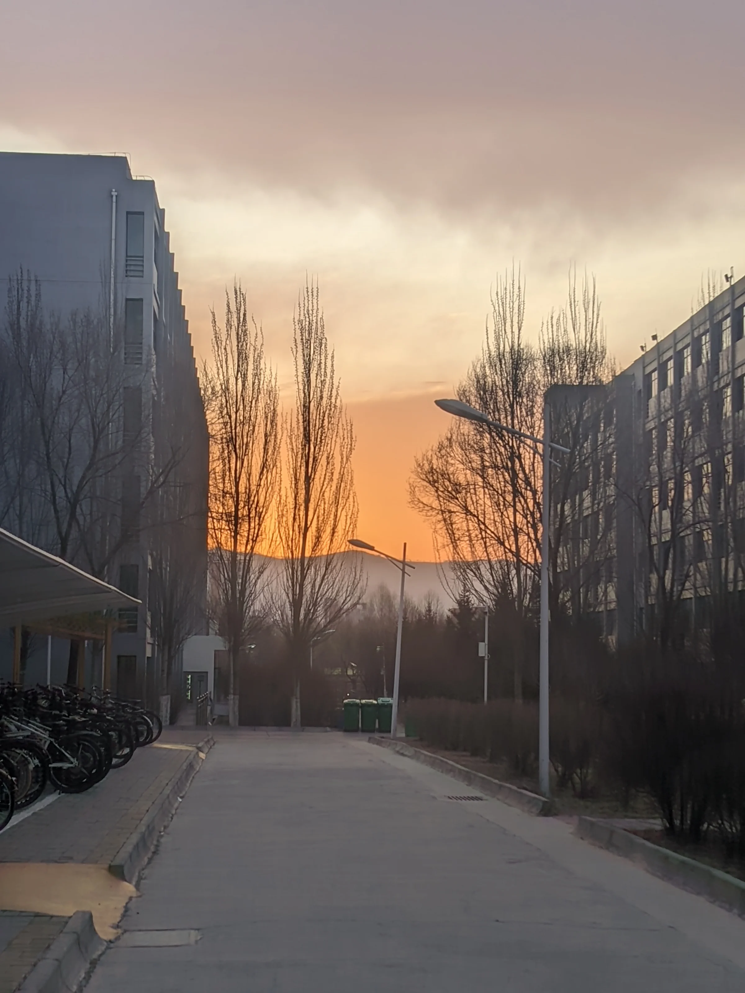 69d357b09128e.webp
