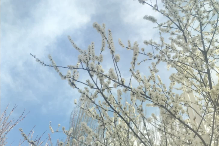 69d35bf732514.webp