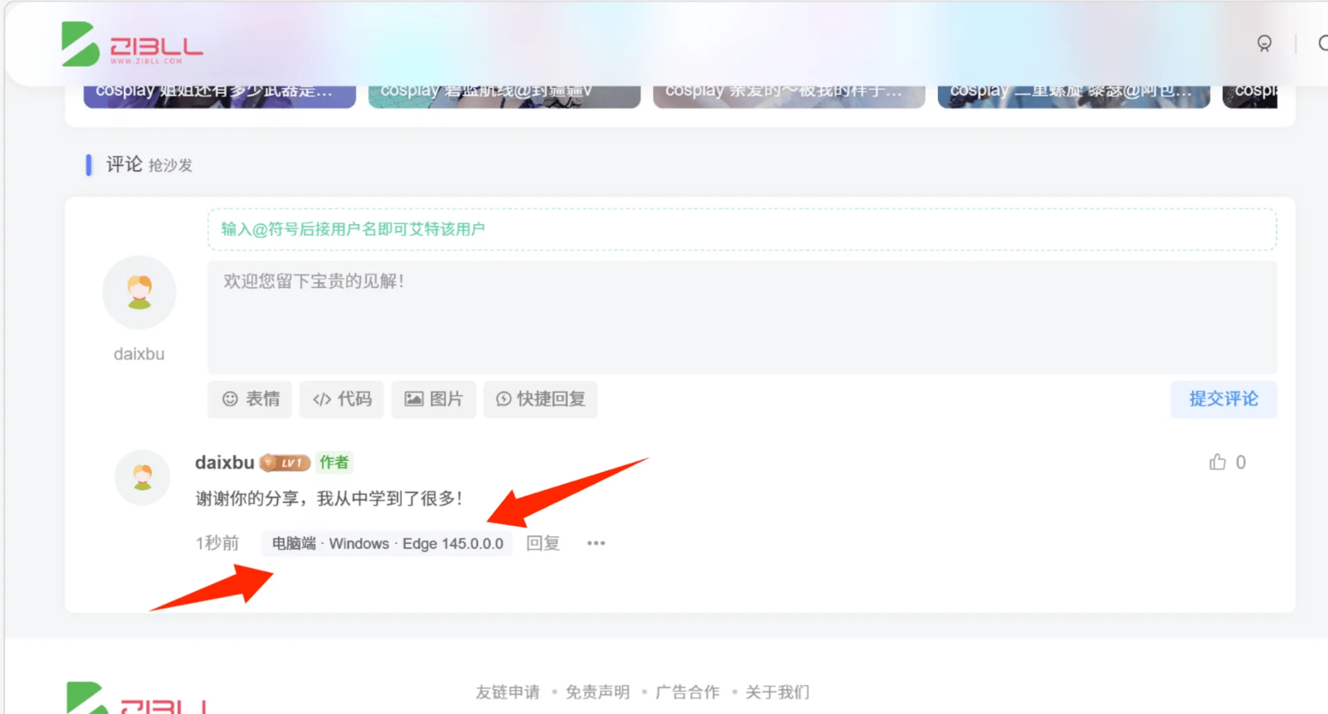 子比主题 – 评论区用户设备与浏览器版本信息-阿呆日记