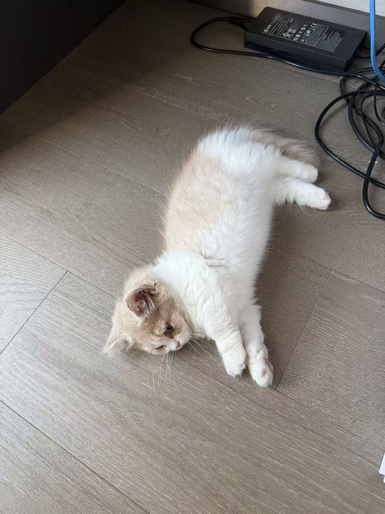 调皮