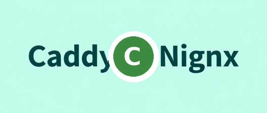 100x Simpler Than Nginx! Caddy: The Modern Web Server with Auto HTTPS