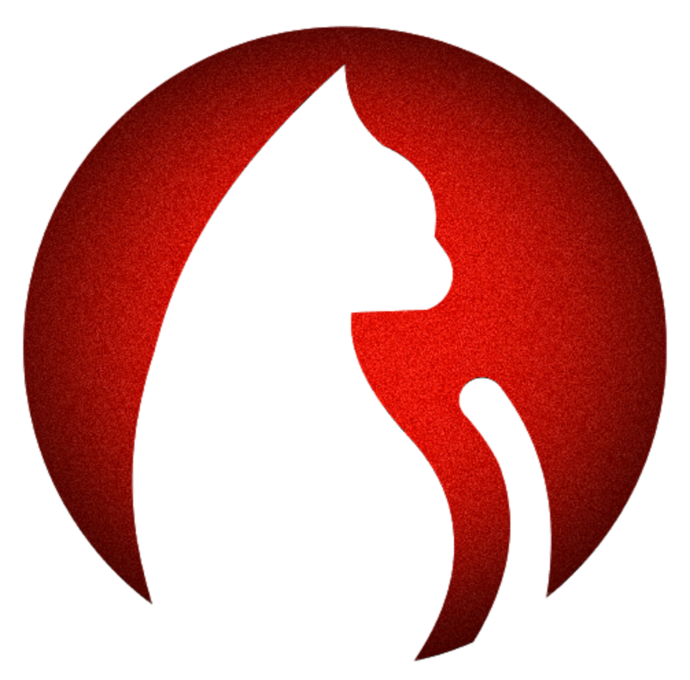 6a253edbcd2e9.png
