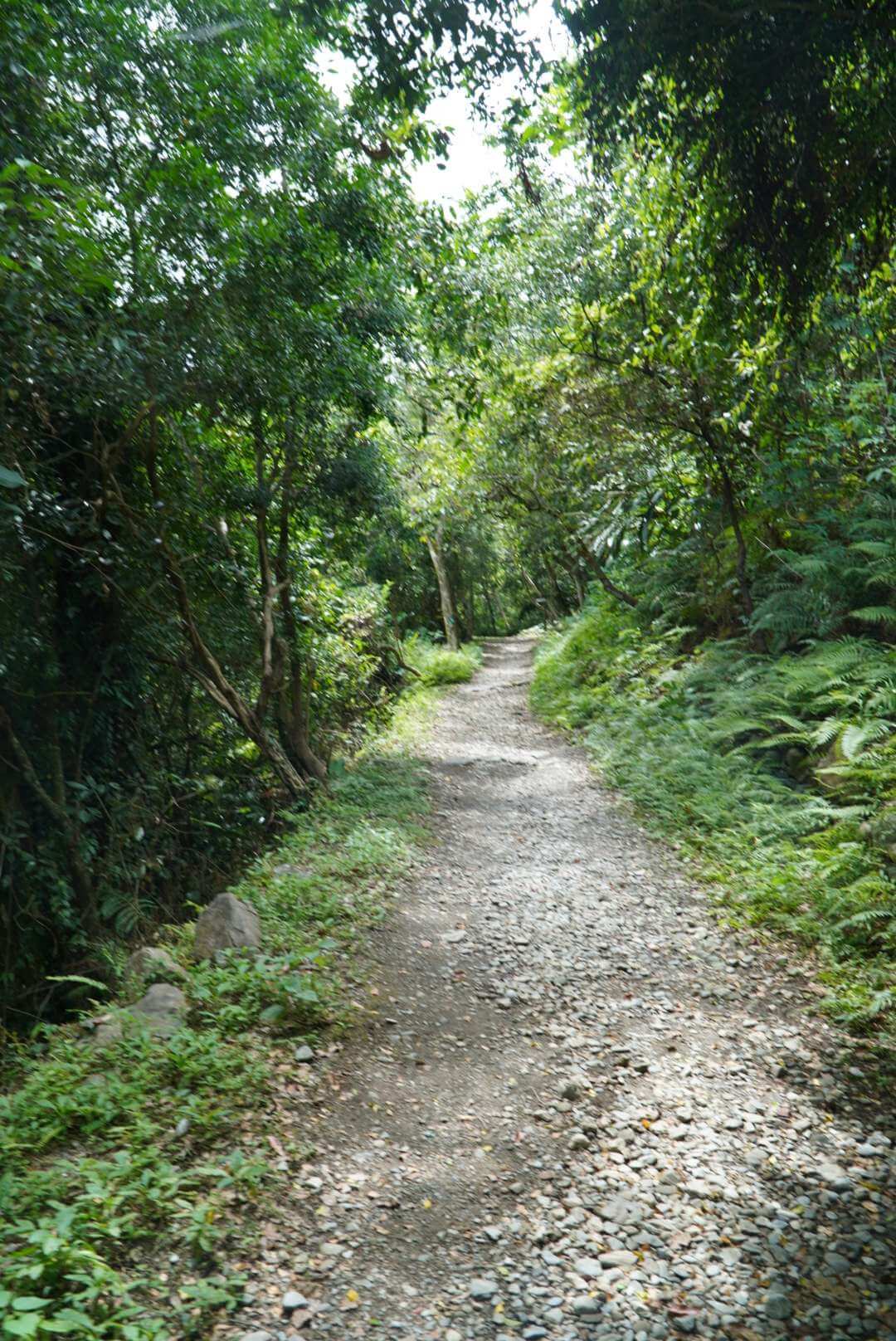 太鲁阁的山路