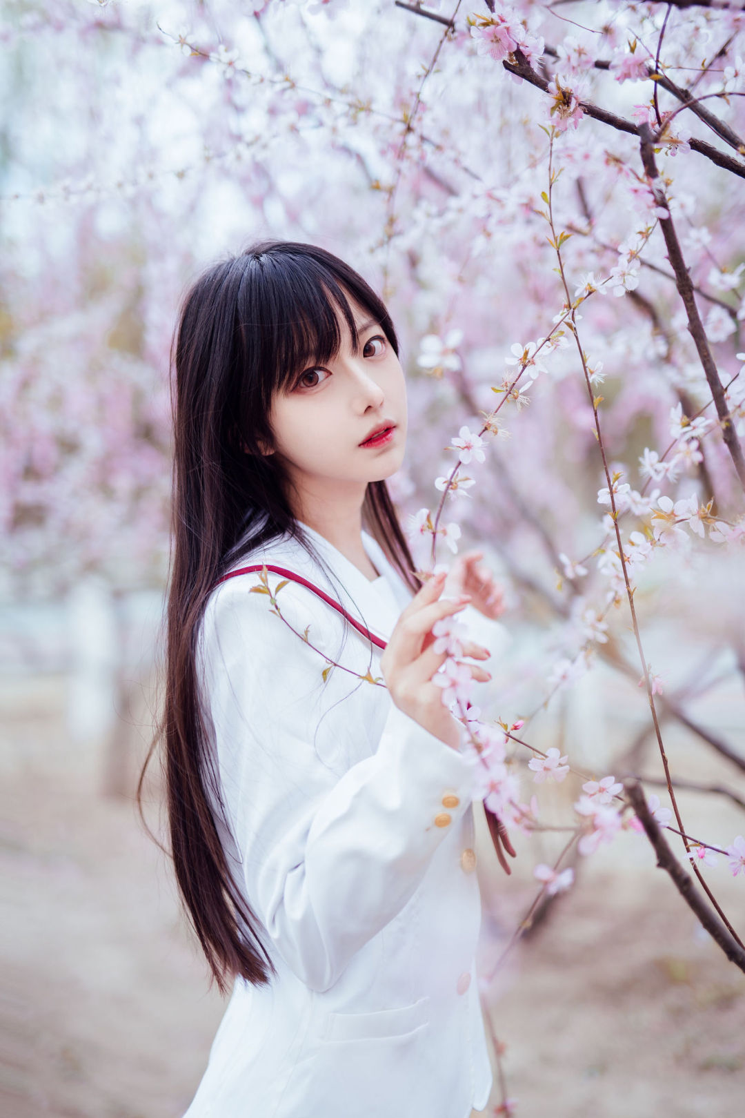 6a33a6a5319d1.jpg