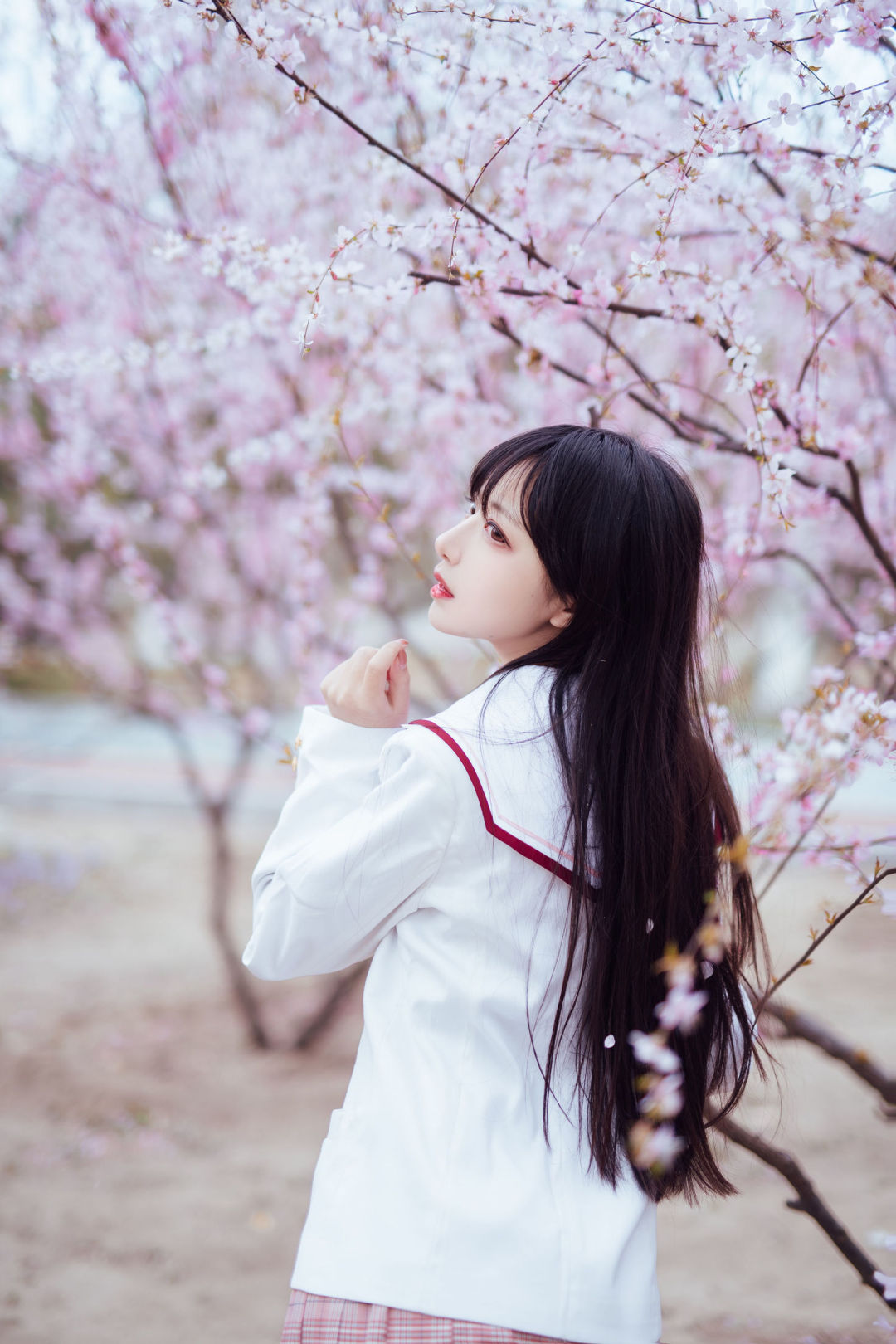 6a33a6a61a15d.jpg