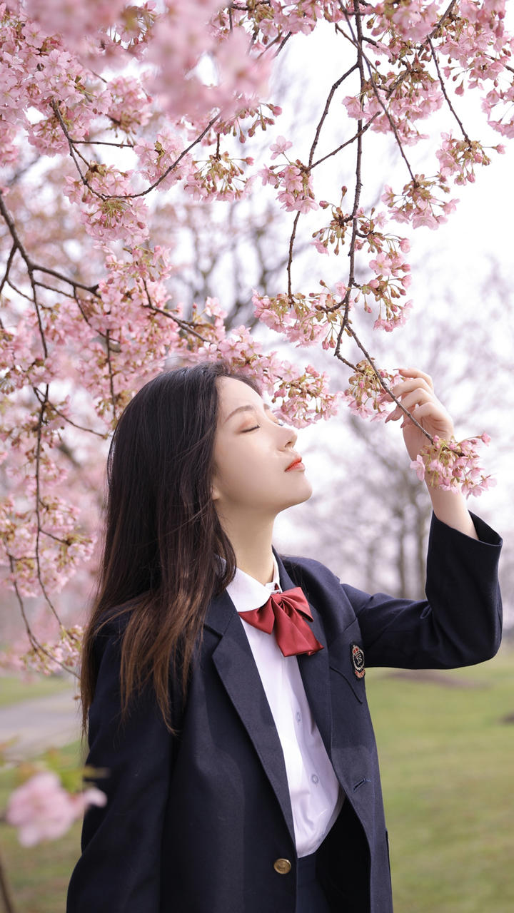 6a33a6caa548b.jpg