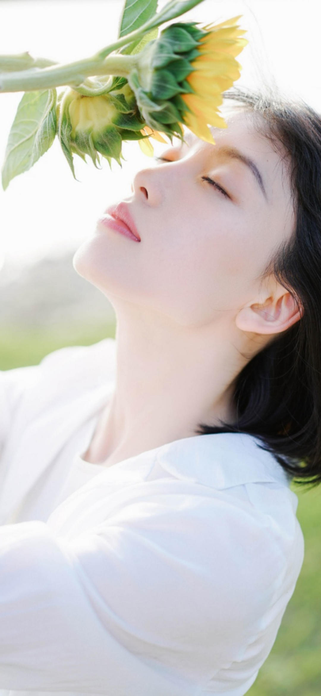 6a33a70e9afe9.jpg