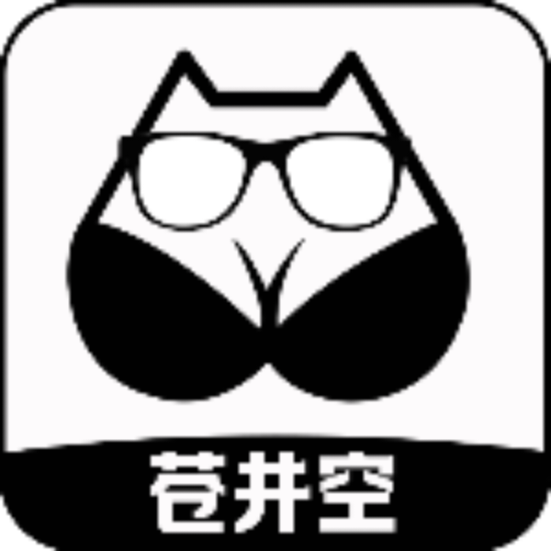 6a4d4686edad6.webp