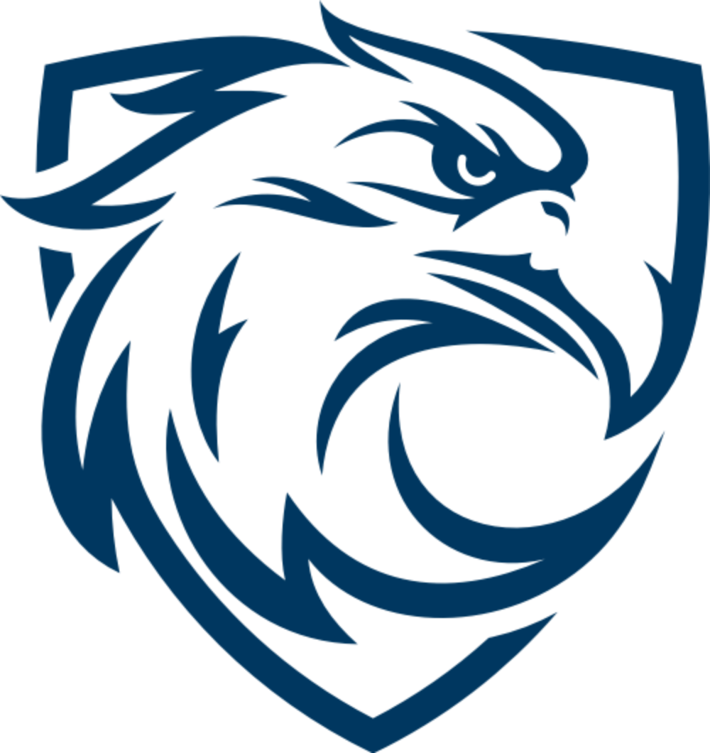 6a53c1ea142d4.png