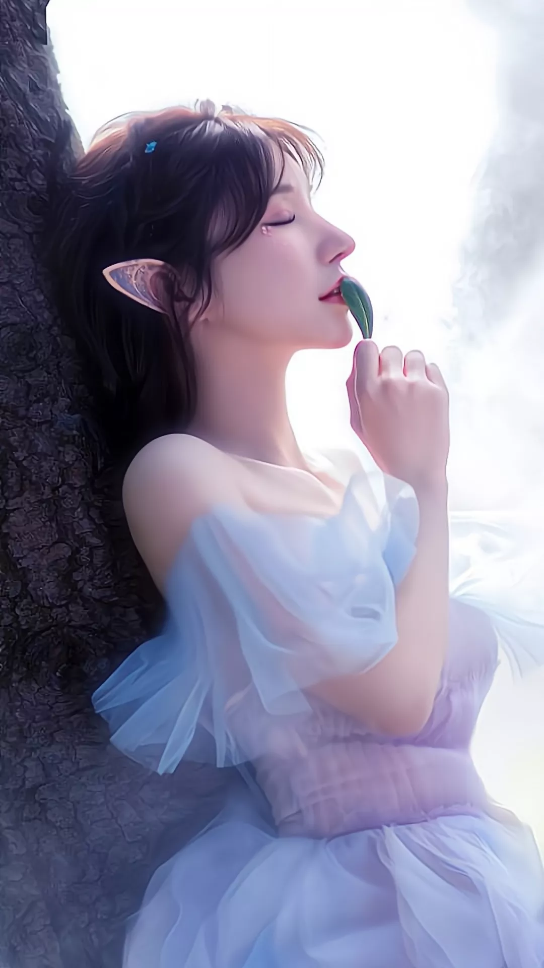 6a6197812eed9.jpg