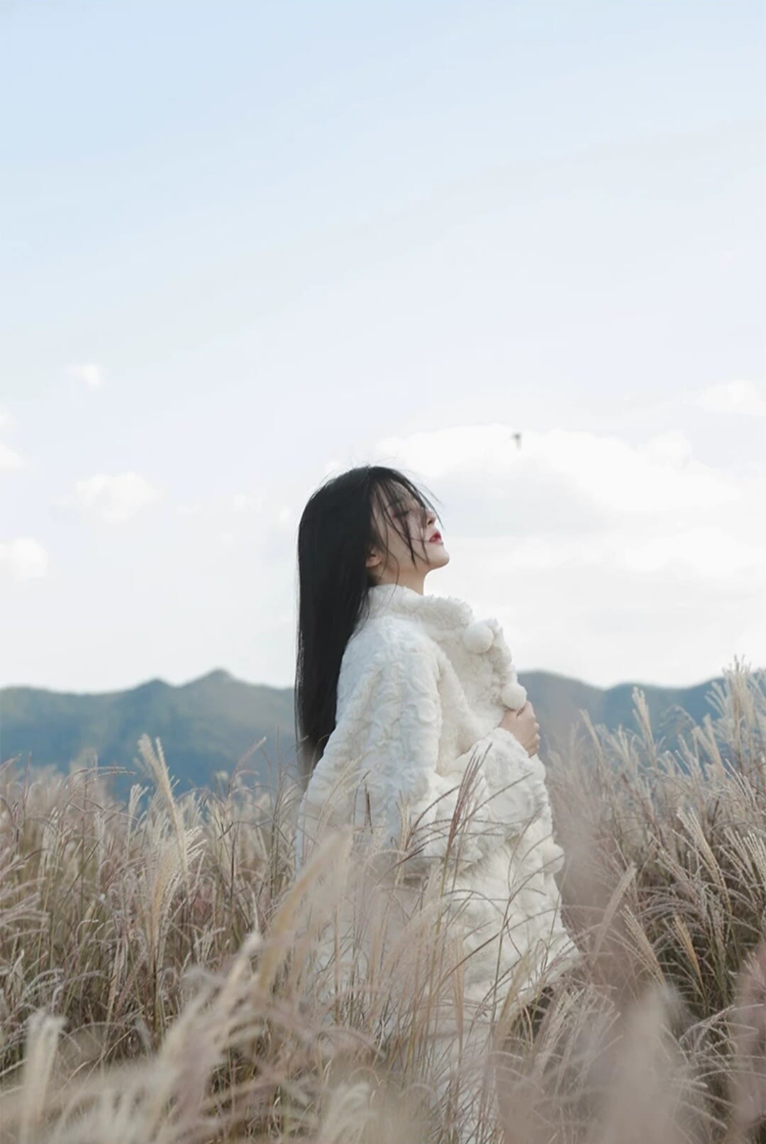 6a6199df0694b.jpg