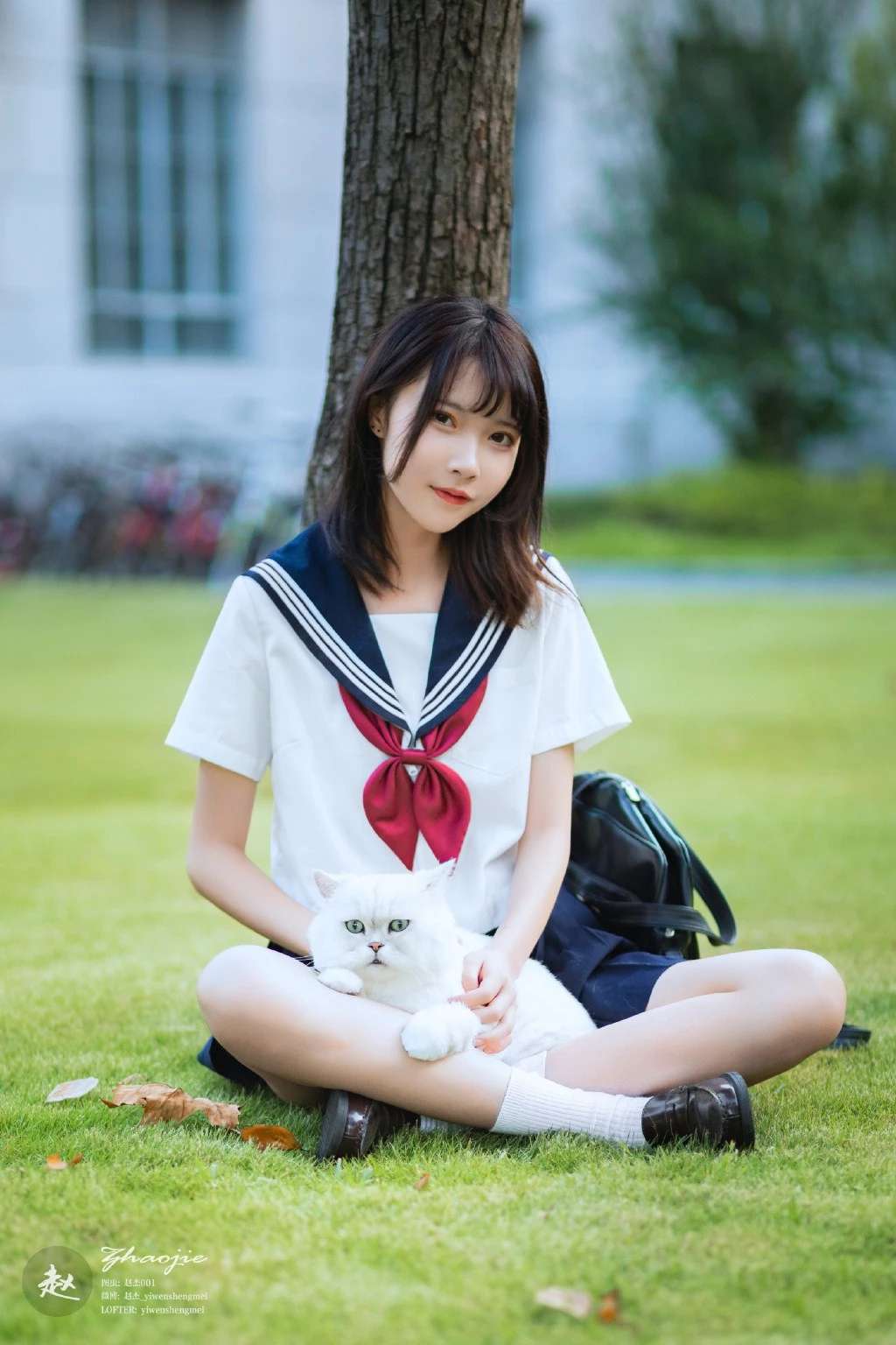 6a619a299fa4c.jpg