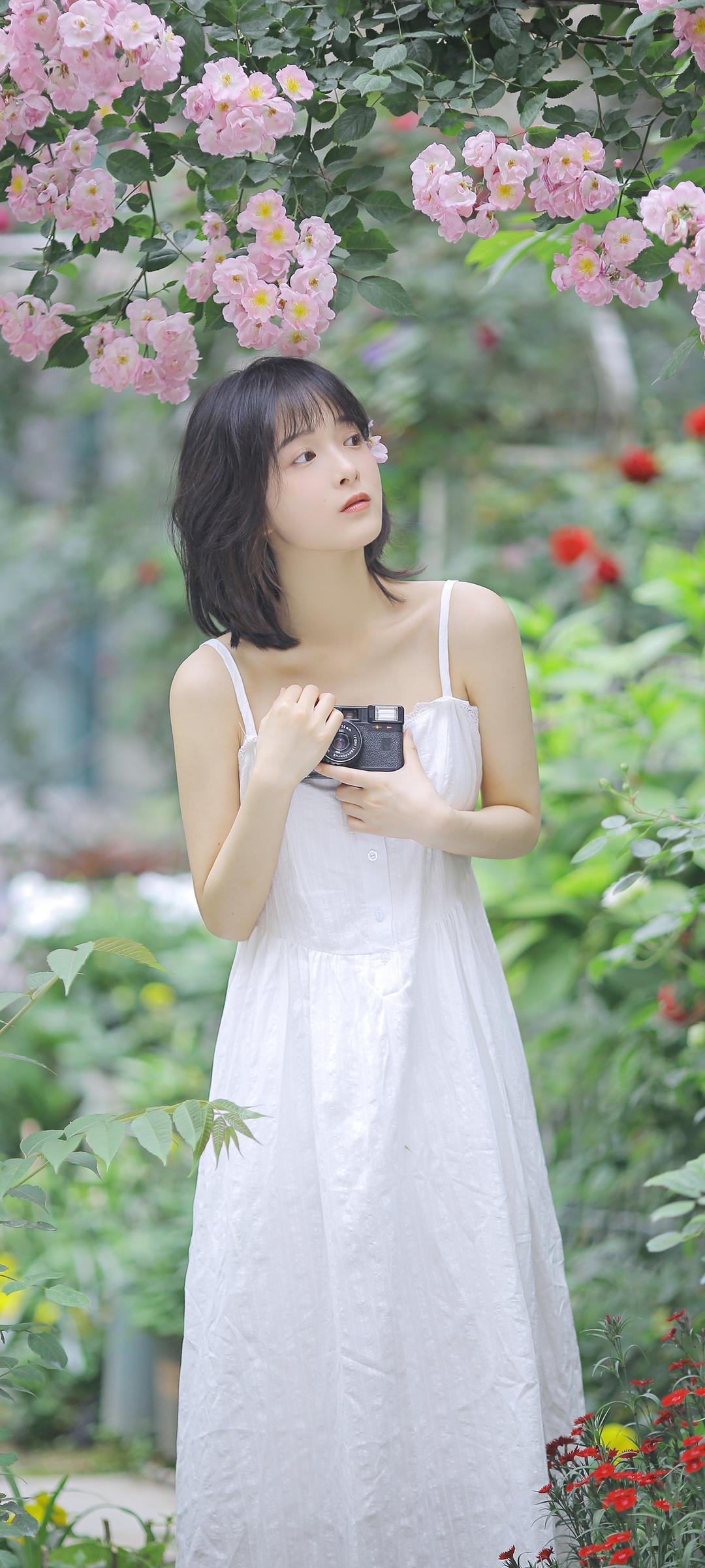 6a619a6431f24.jpg