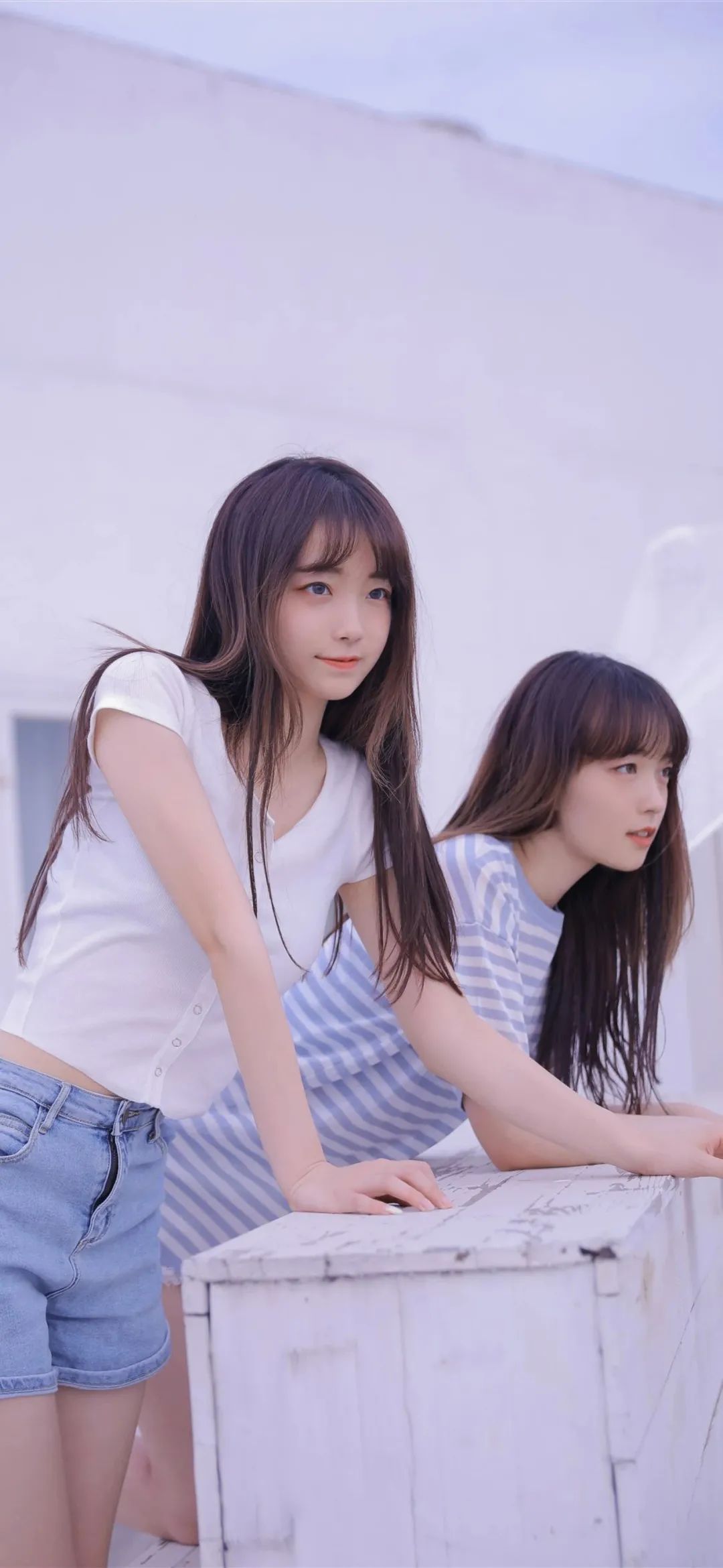 6a619b2265e26.jpg