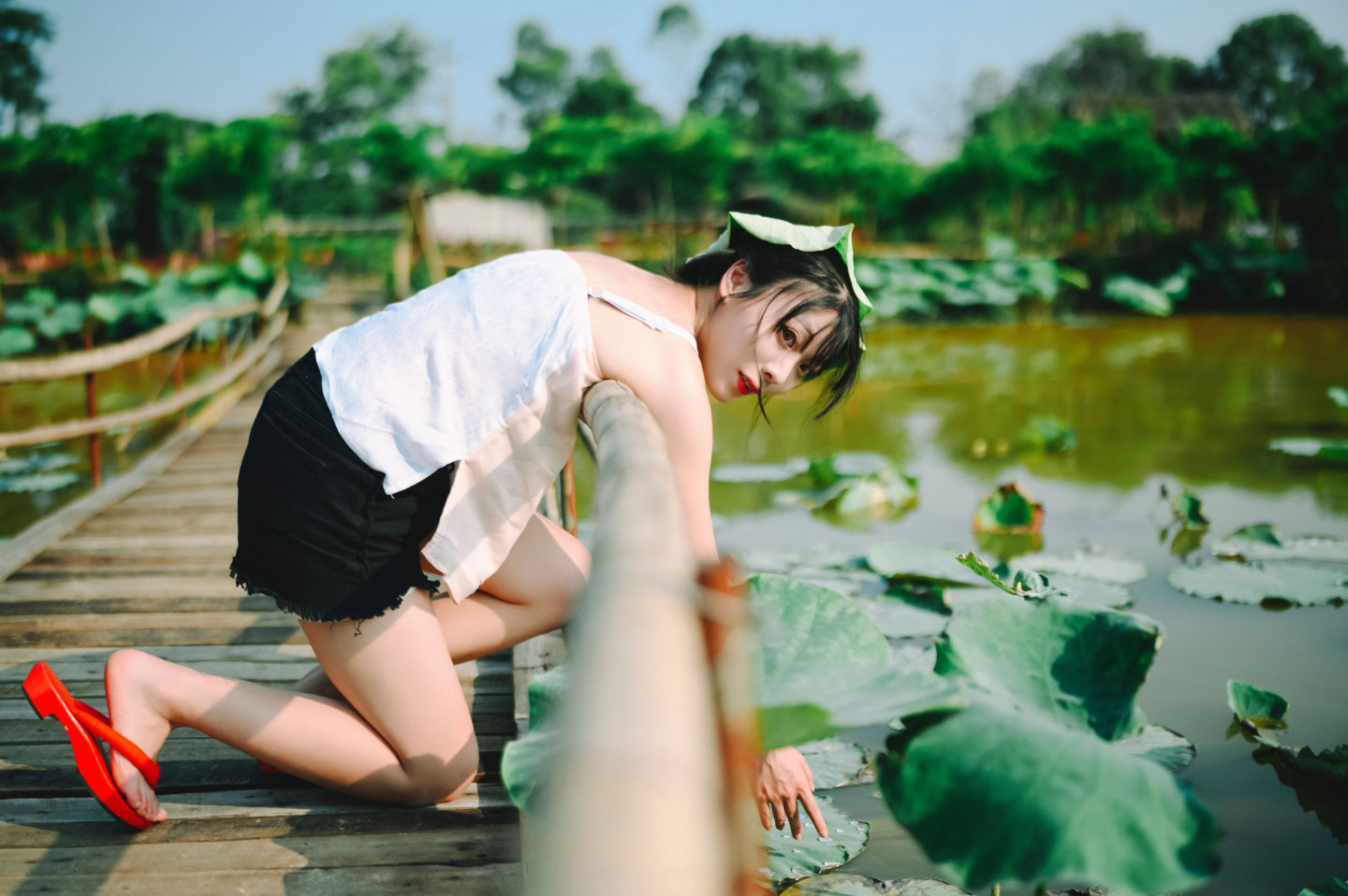 6a619c45791df.jpg