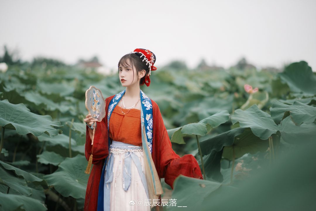 6a619cb52d3c0.jpg