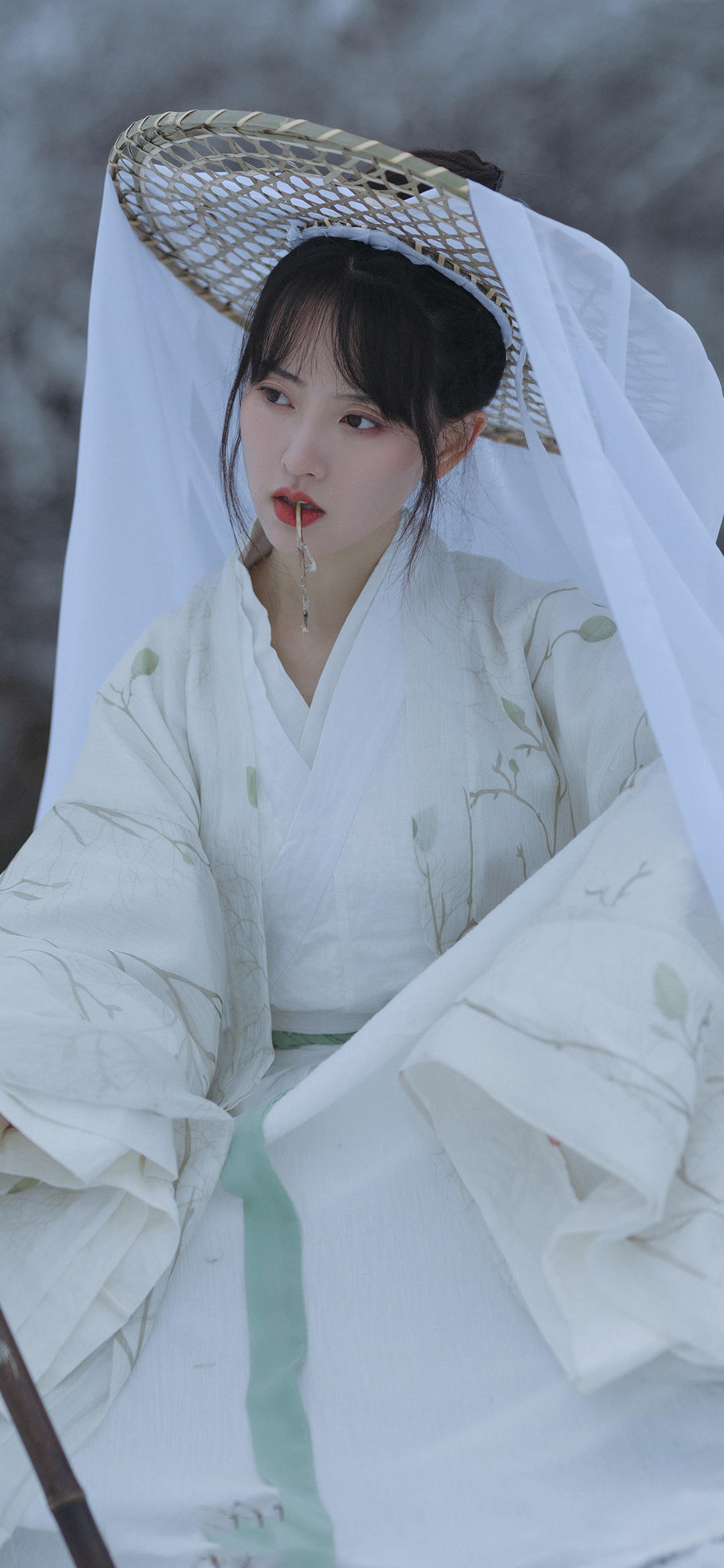 6a619cb9ef684.jpg