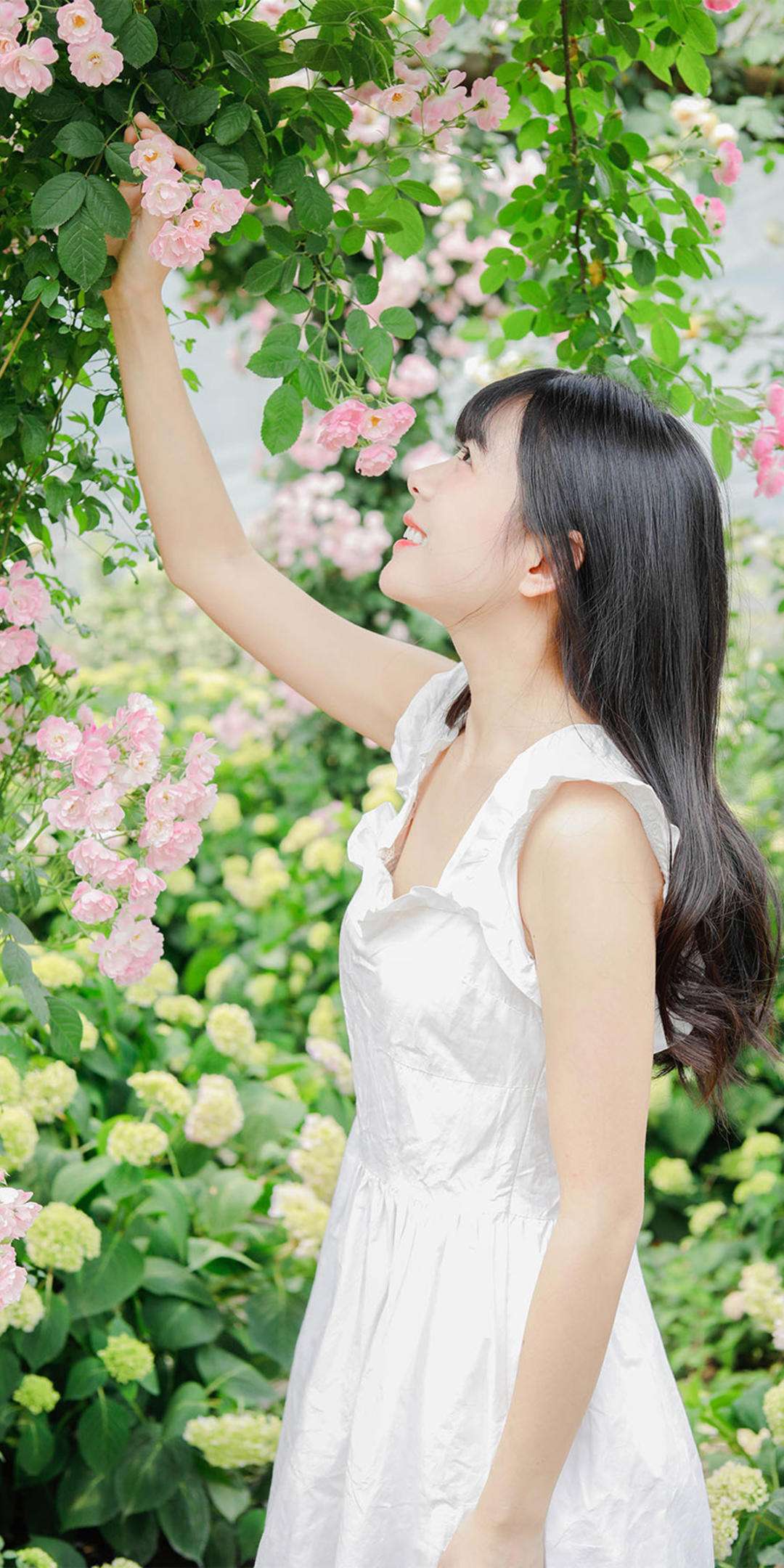 6a619d2dd750b.jpg