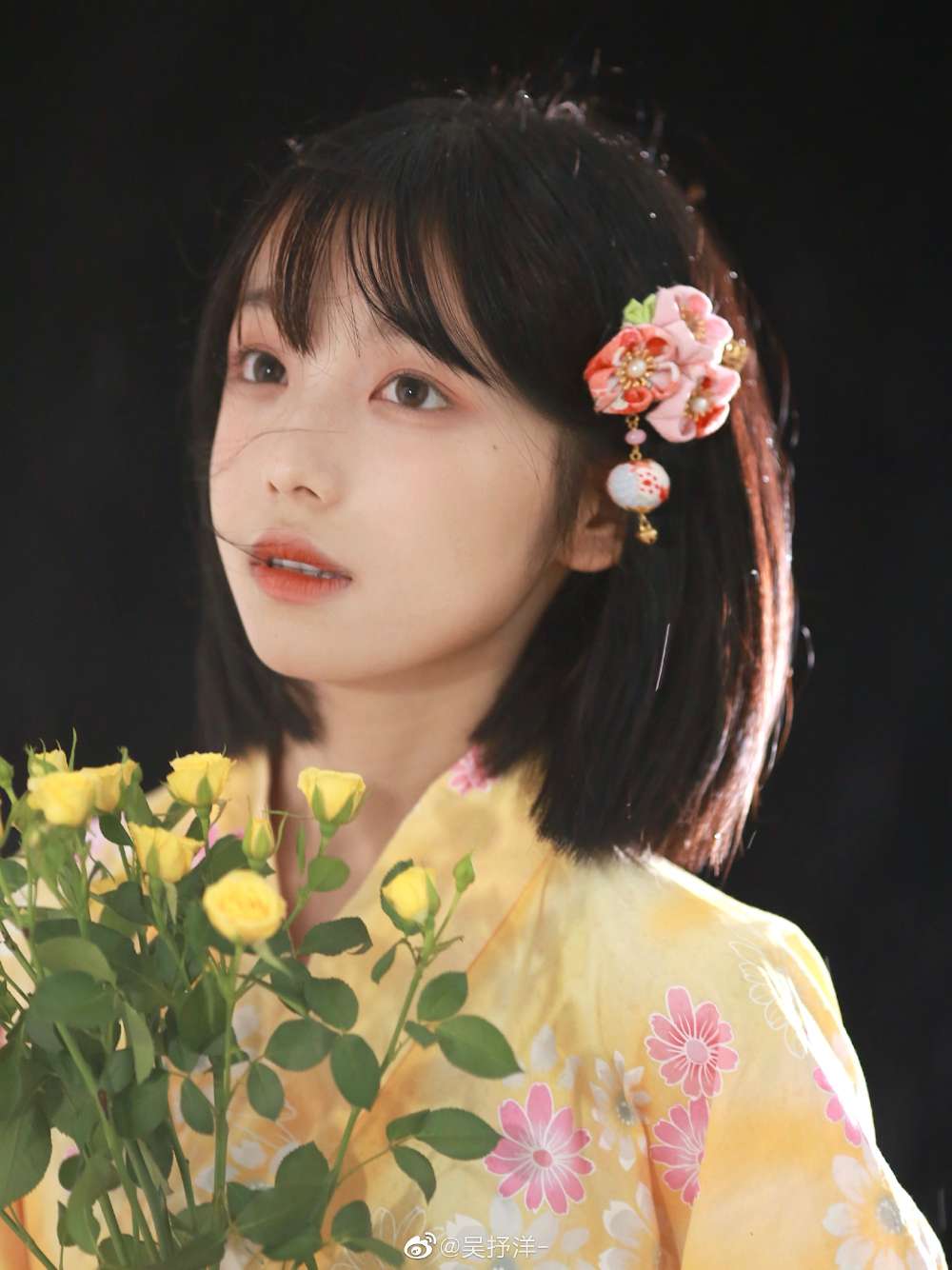 6a619d813ba7c.jpg