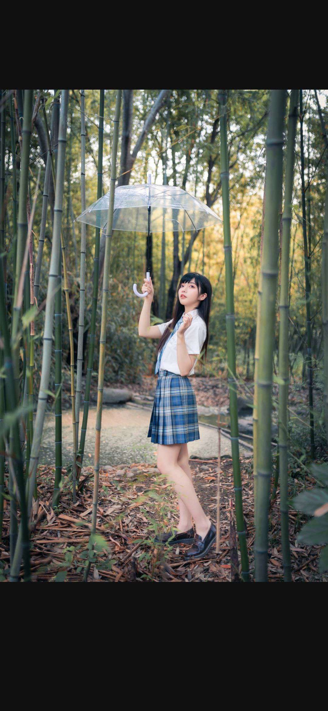 6a619dd6123ed.jpg
