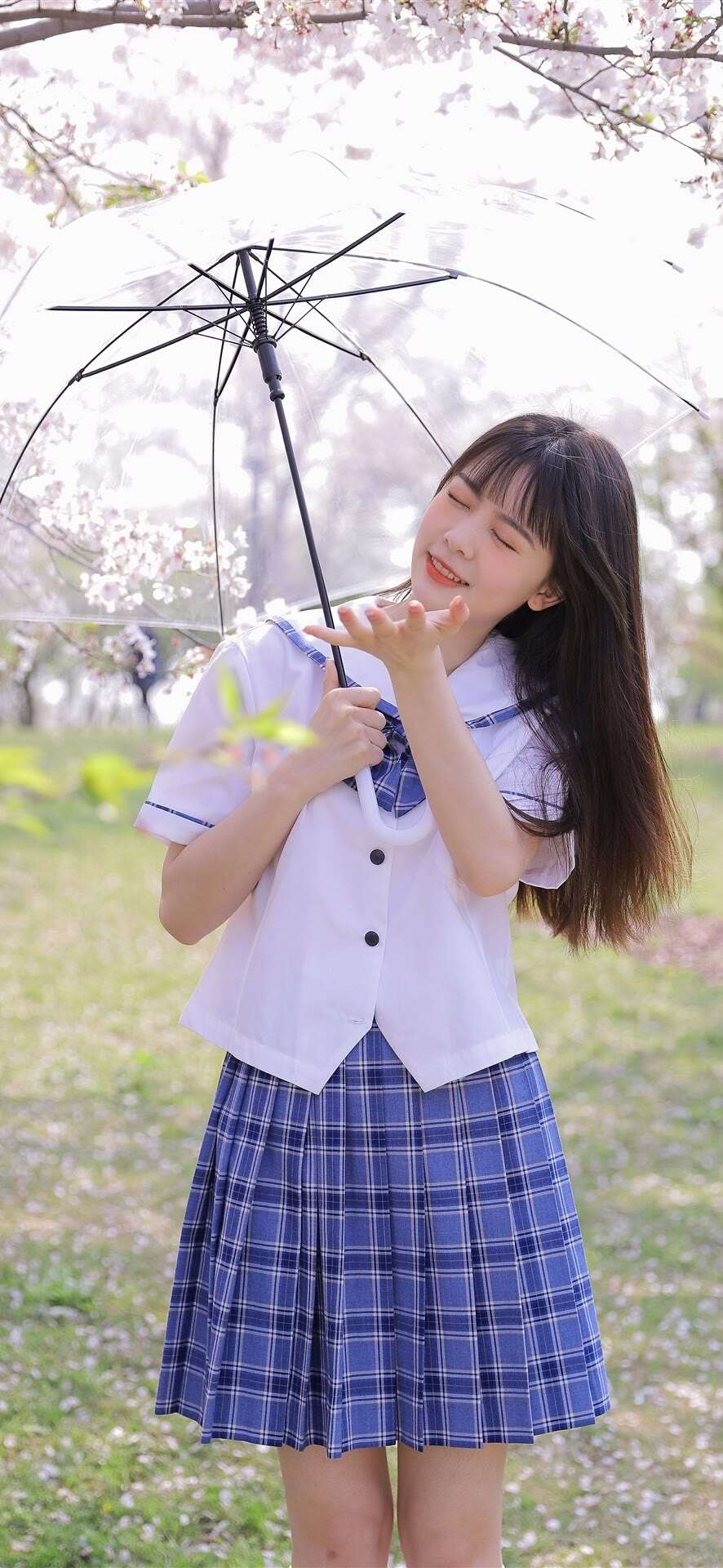 6a619de788f51.jpg