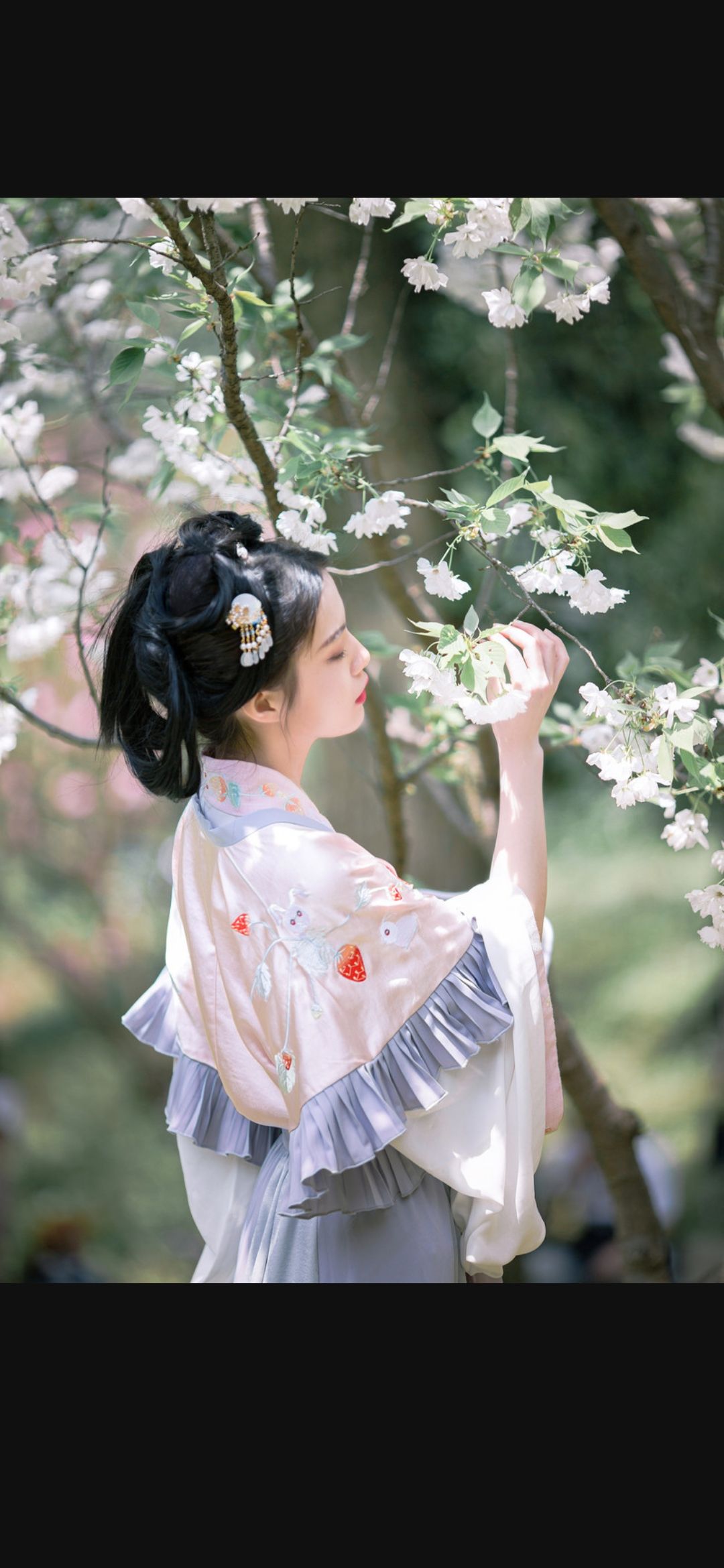 6a619e58cca0c.jpg