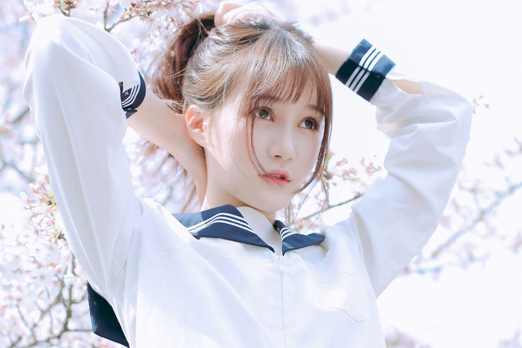 6a619ea136ea5.jpg