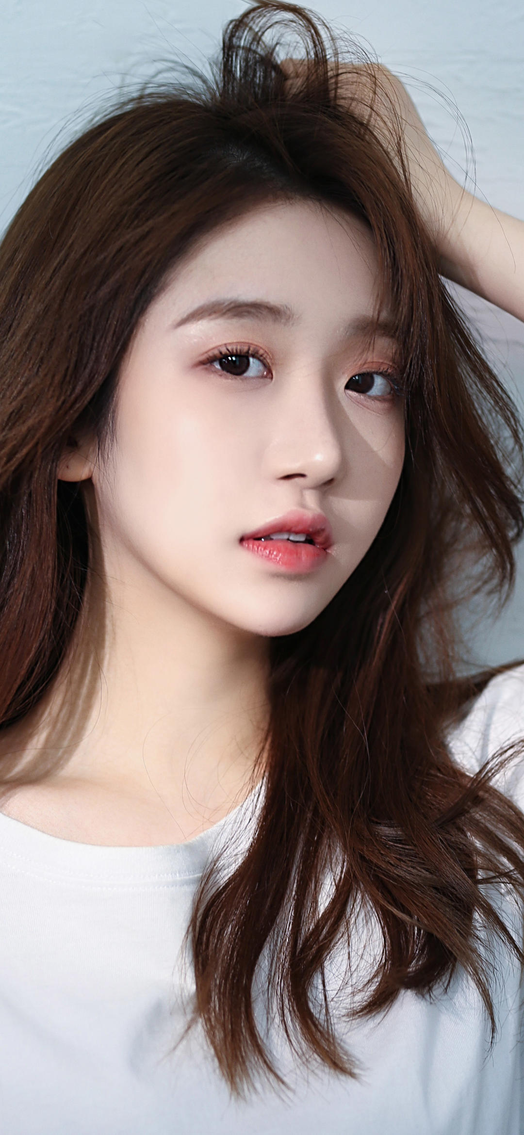 6a619efd35330.jpg