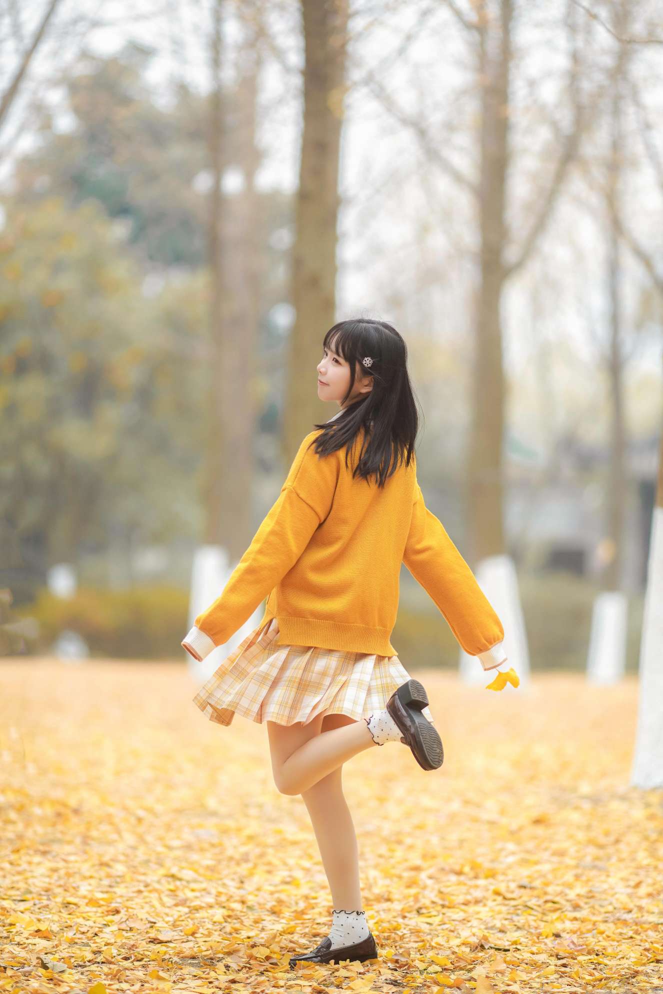 6a619fc8562c0.jpg