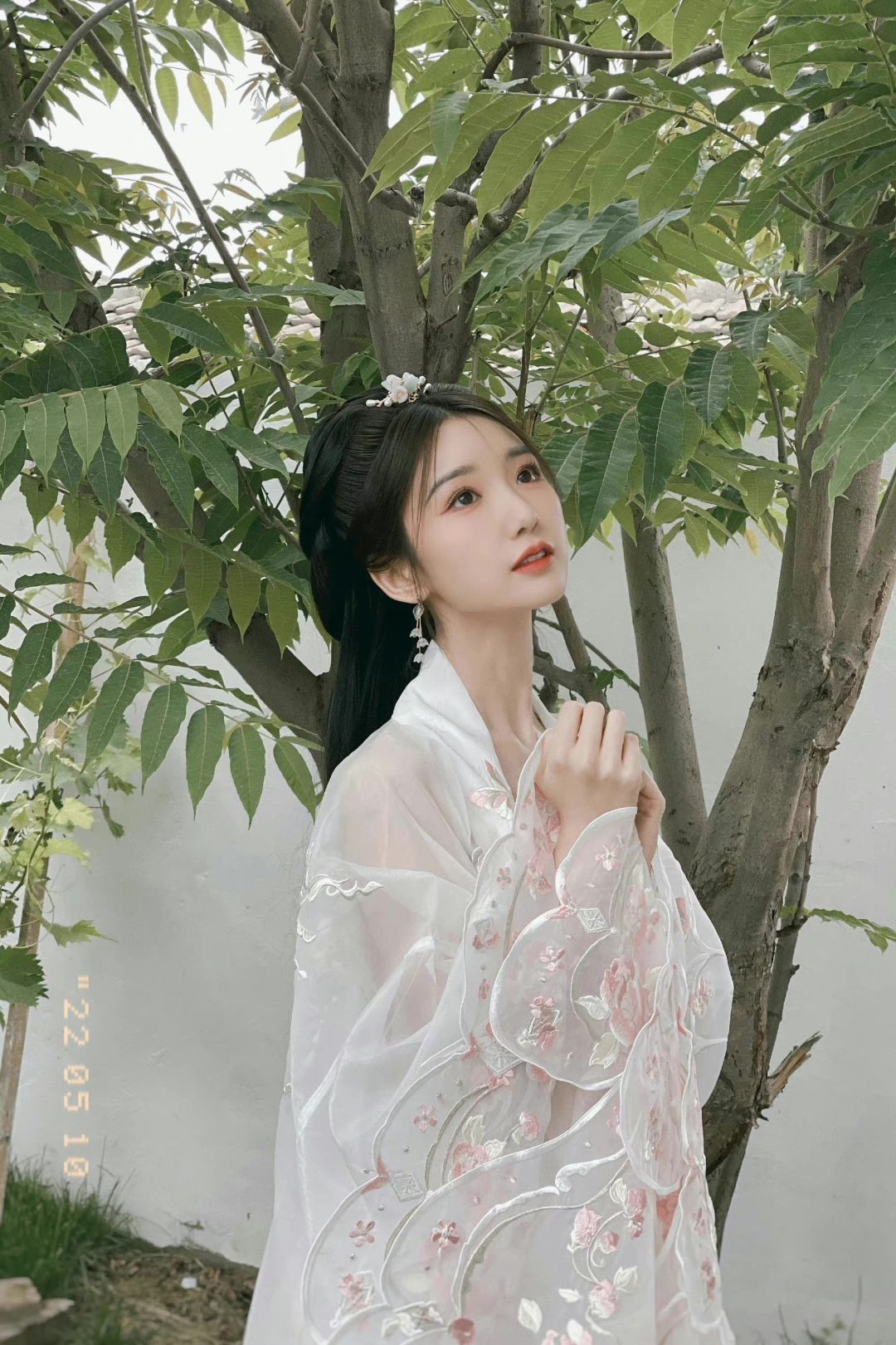 6a619fcc715dd.jpg