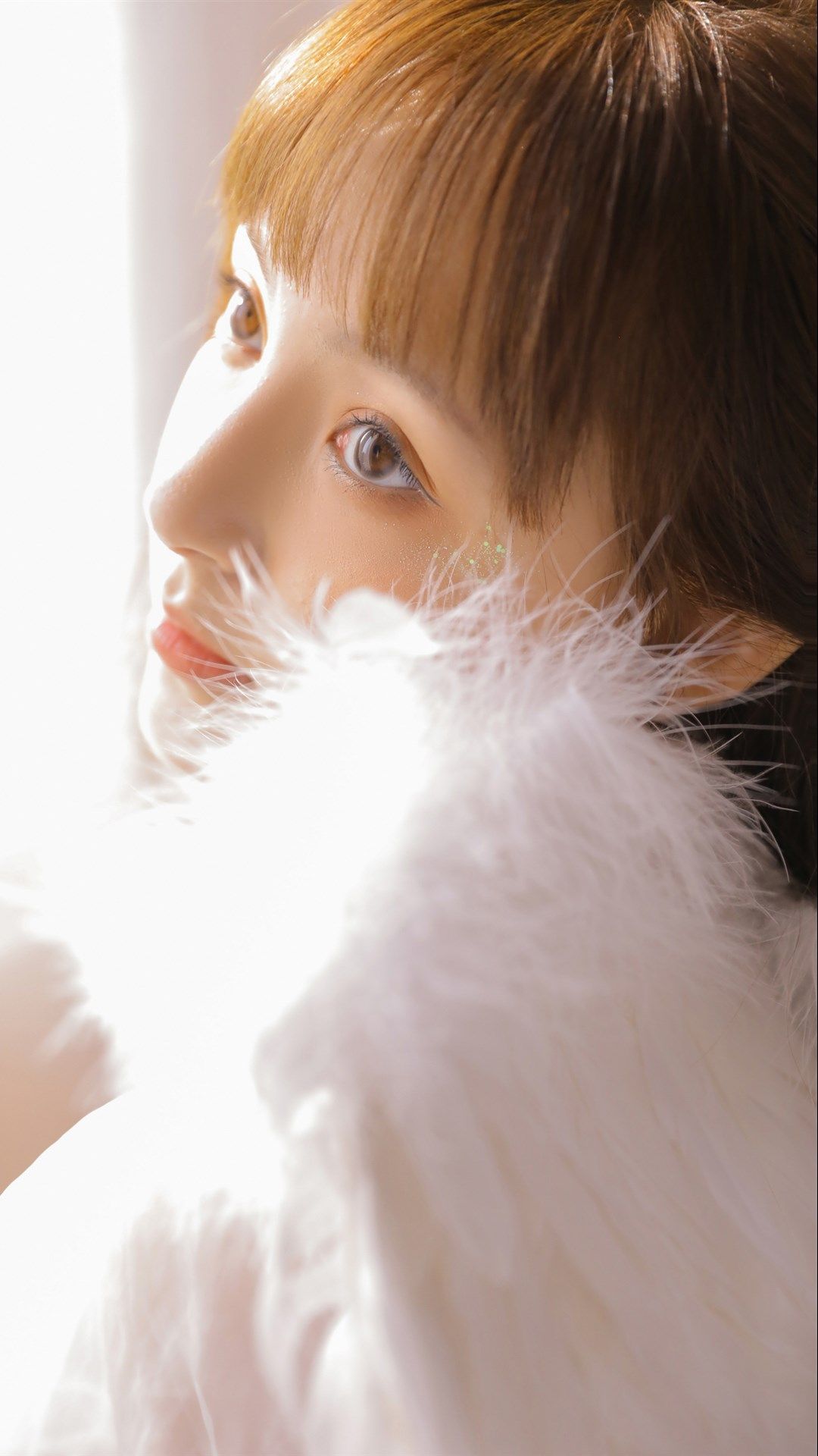 6a61a00df252b.jpg