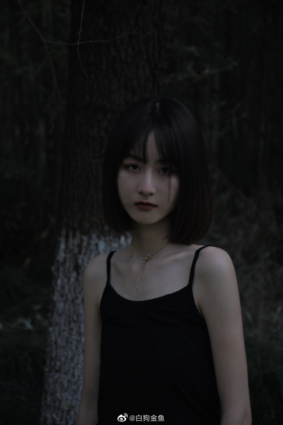 6a61a06d87b07.jpg