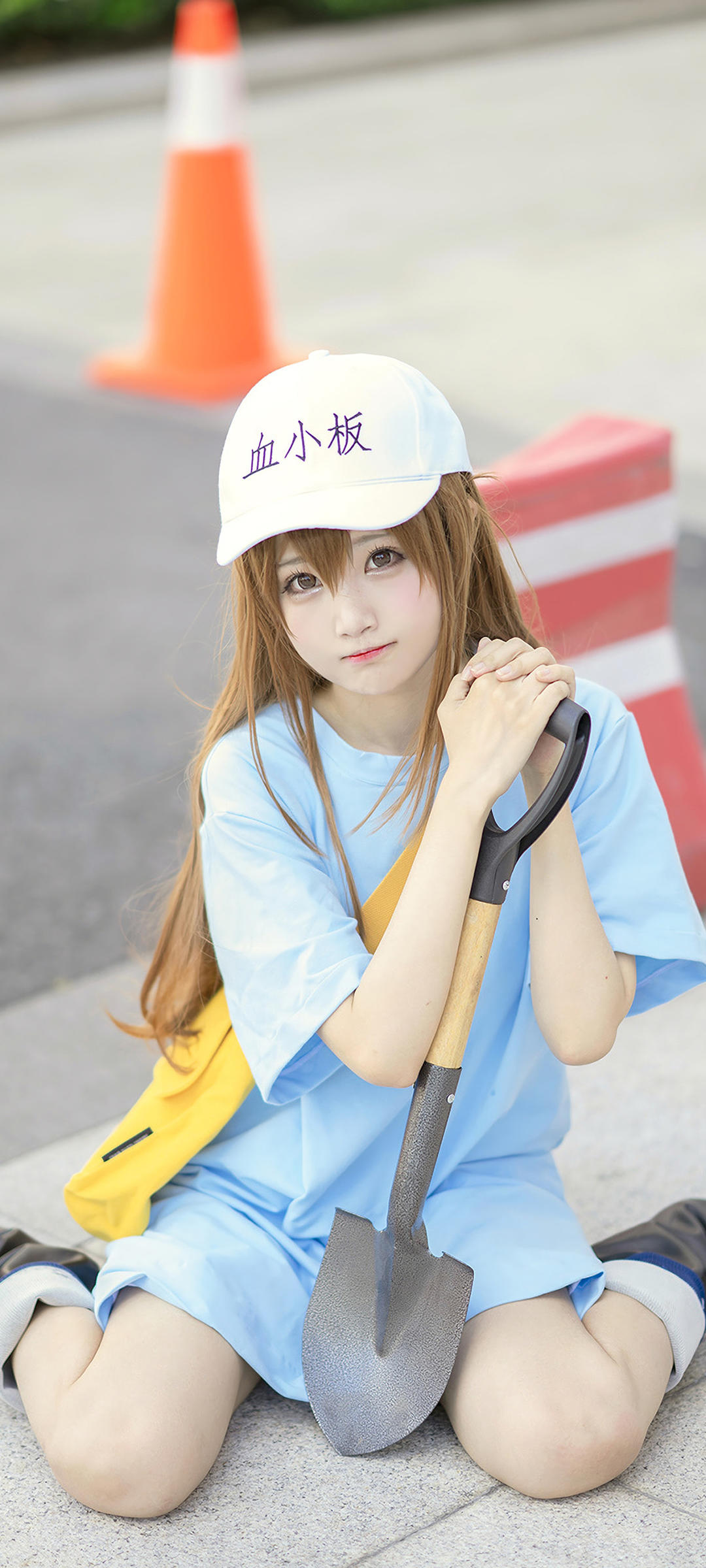 6a61a102a21c8.jpg