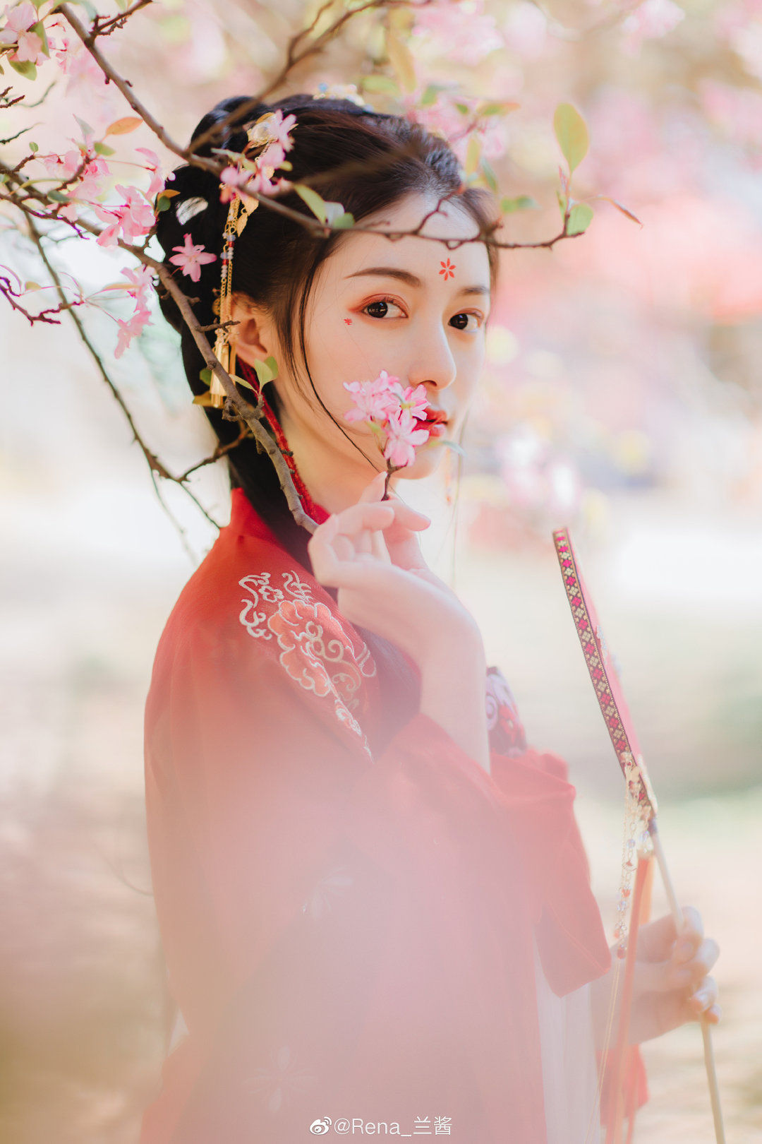 6a61a1d227be8.jpg