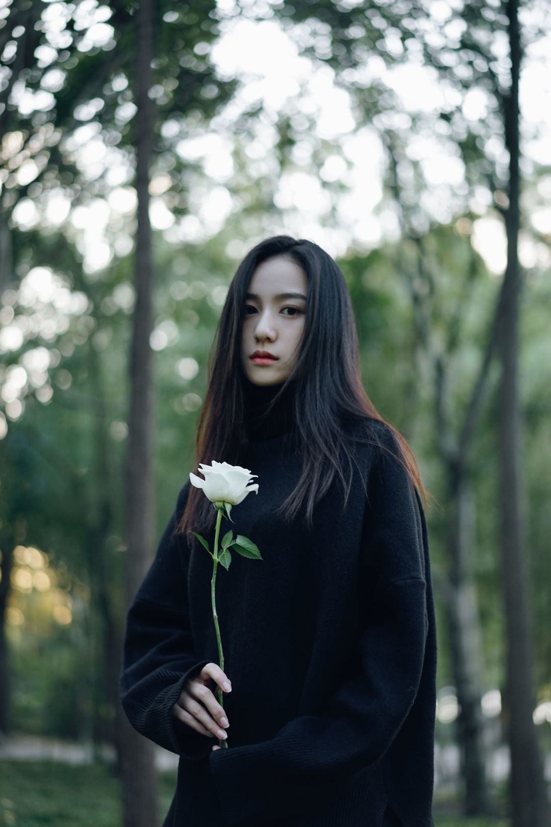 6a61a1e95257e.jpg
