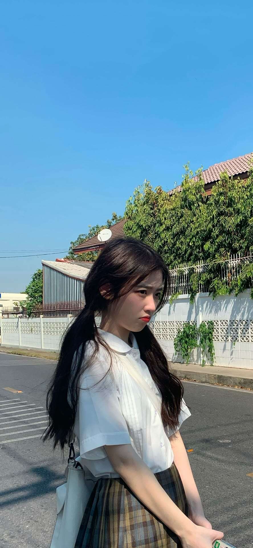 6a61a2e1aab2f.jpg