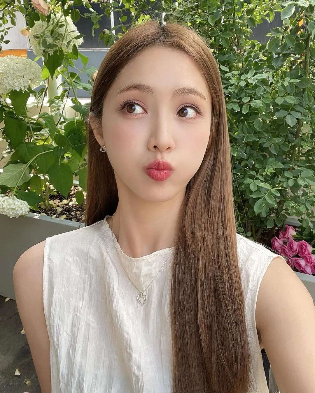 6a61a30a79d9d.jpg